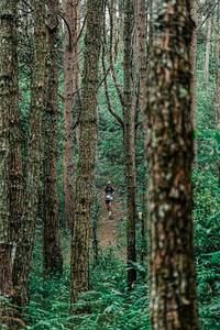 BIB: 
                            <button type="button" onclick="openModal(25235616)" class="btn btn-primary btn-sm float-right btn-popup" data-toggle="modal" data-target=".modal-high-quality">
                        <i class="fas fa-shopping-cart"></i> Add to Cart
                    </button>
                                            <button type="button" onclick="isThisMe(25235616, true)" class="btn btn-success btn-sm float-right btn-popup btn-isme hidden" data-toggle="tooltip" data-placement="bottom" title="นี่คือรูปของคุณใช่ไหม คลิกที่นี่เพื่อเอาเข้าอัลบั้ม">
                        <i class="fas fa-plus"></i> Add to album
                    </button>
                    <button type="button" onclick="isThisMe(25235616, false)" class="btn btn-warning btn-sm float-right btn-popup btn-isnotme hidden">
                        <i class="fas fa-ban"></i> Remove from album
                    </button>